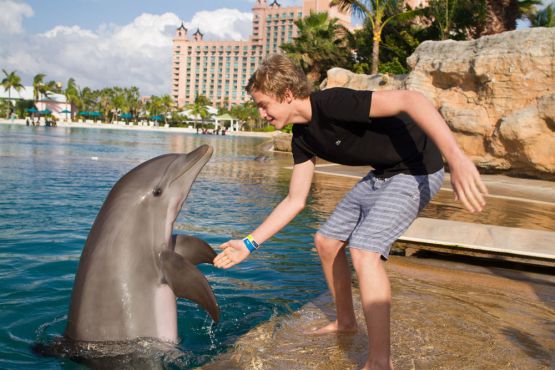 Cody Simpson in Atlantis with a dolphin